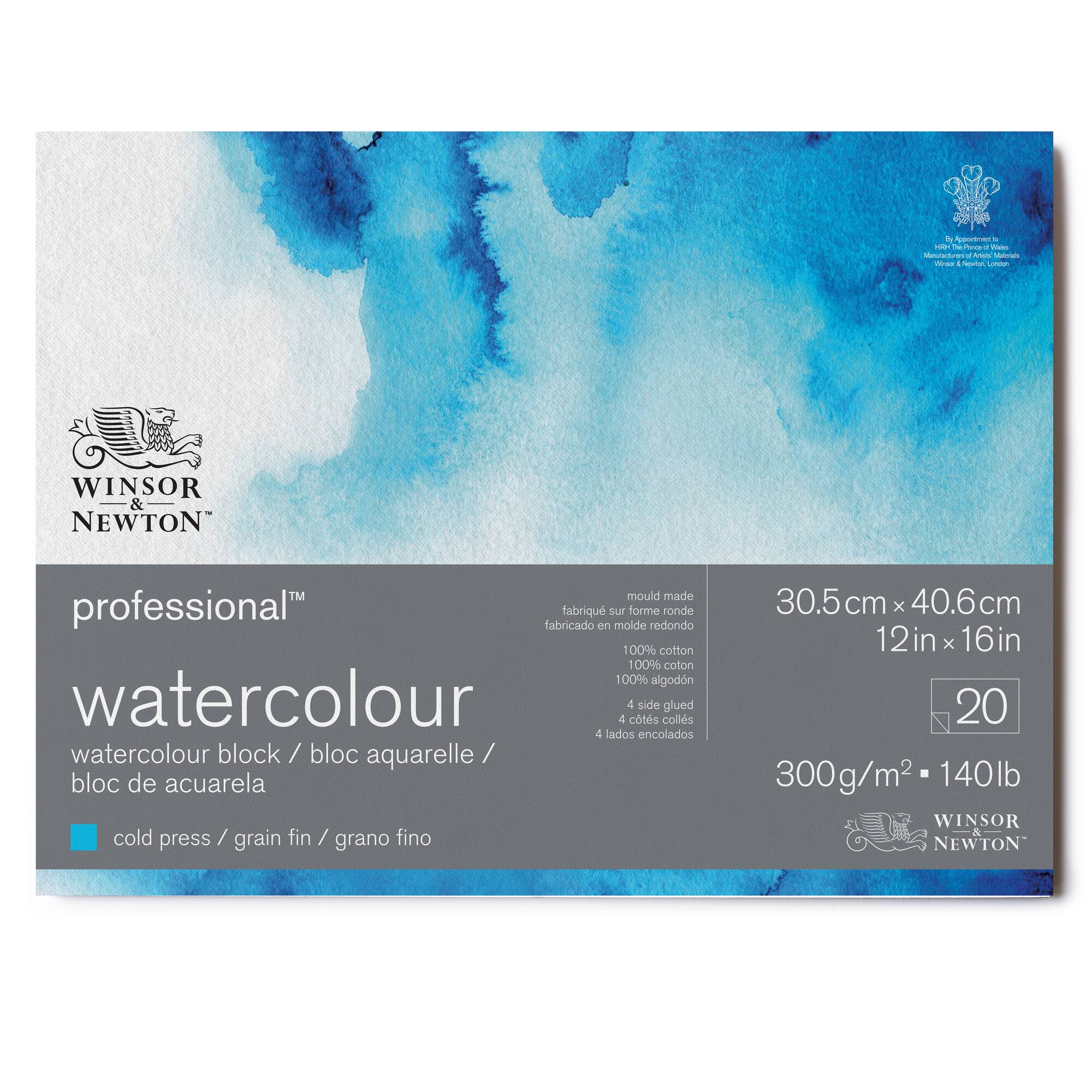 Winsor & Newton™ Professional™ 140lb. Cold Press Watercolour Paper Block